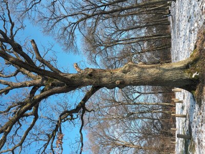 Apartment 2-Bett-Ferienwohnung Dusche/WC, 1 Schlafraum - Outdoor photo 14