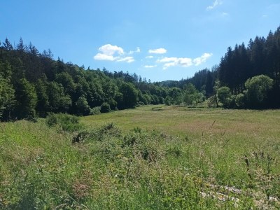 Apartment 2-Bett-Ferienwohnung Dusche/WC, 1 Schlafraum - Outdoor photo 27