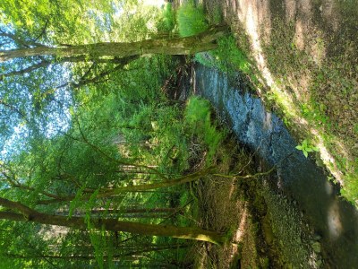 Apartment 2-Bett-Ferienwohnung Dusche/WC, 1 Schlafraum - Outdoor photo 28