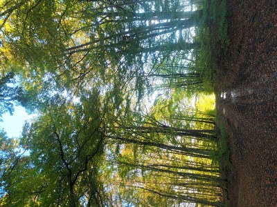 Apartment 2-Bett-Ferienwohnung Dusche/WC, 1 Schlafraum - Outdoor photo 29