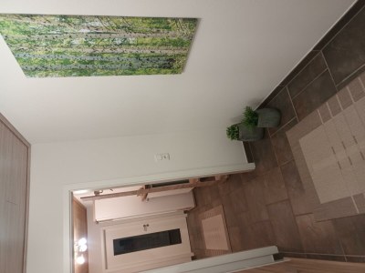 Apartment 2-Bett-Ferienwohnung Dusche/WC, 1 Schlafraum - Features photo 33