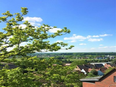 Holiday park Ferienhaus in Bad Bentheim mit Sauna - Environment photo 22