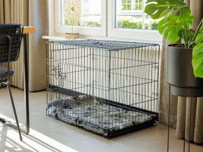 Holiday park Restyled holiday home, near Bad Bentheim - Outdoor photo 31