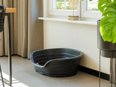 Holiday park Restyled holiday home, near Bad Bentheim - Outdoor photo 36