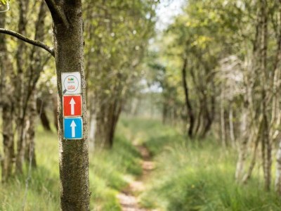 Holiday park Bad Bentheim Forest Hideaway - Environment photo 20