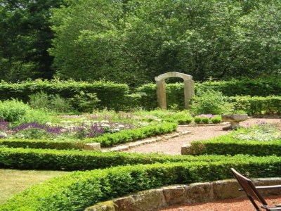 Holiday park Bad Bentheim Forest Hideaway - Environment photo 23