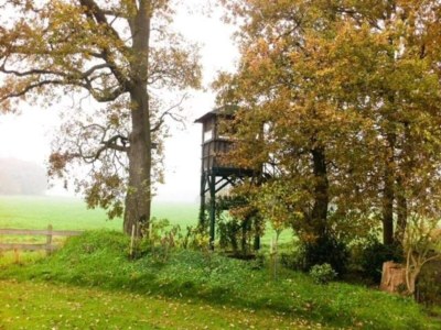 Holiday park Bad Bentheim Forest Hideaway - Environment photo 30