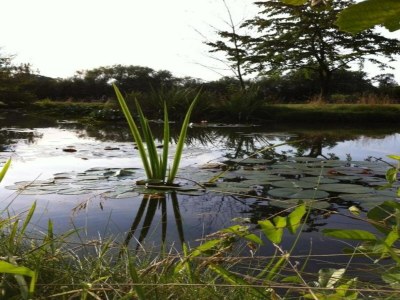 Holiday park Ruhiger Resort-Aufenthalt mit Sauna - Environment photo 24