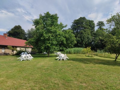 Holiday house Spreewald Pension Spreeaue - Outdoor photo 6