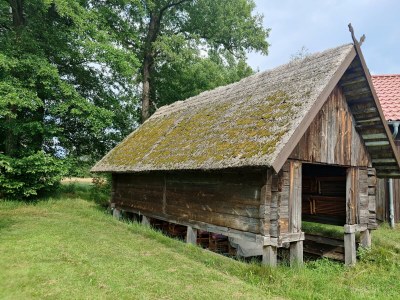 Holiday house Spreewald Pension Spreeaue - Outdoor photo 10