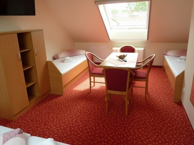 Holiday house Spreewald Pension Spreeaue - Features photo 15