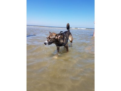 Holiday apartment No title - Environment photo 13