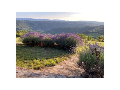 Holiday house Maison Le Barret - Outdoor photo 8