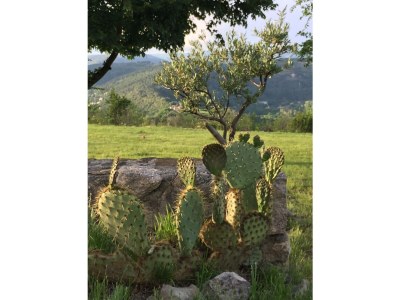 Holiday house Maison Le Barret - Outdoor photo 13