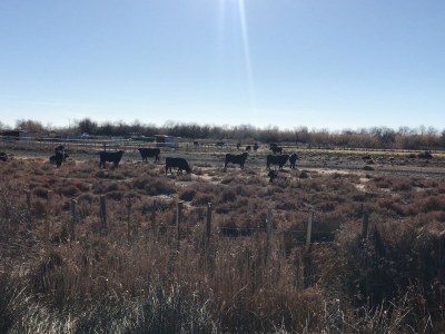 Holiday house Maison Le Barret - Environment photo 36