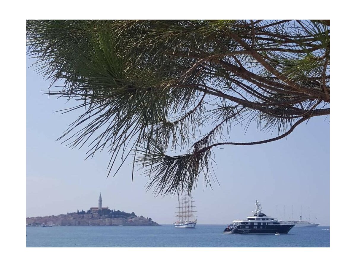 Villa Villa Sessa - Environment photo 3