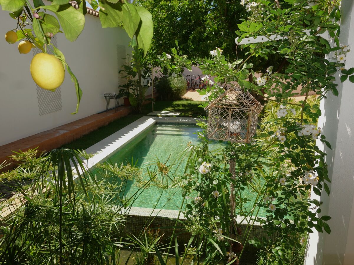 Holiday house Gonzalez - Outdoor photo 4