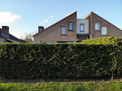 Holiday house Lindenblatt Holiday Home - Outdoor photo 2