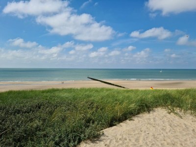 Holiday house Lindenblatt Holiday Home - Environment photo 19