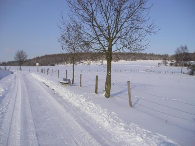 Apartment Schöne Ferienwohnung mit Terrasse in Homberg - Environment photo 25