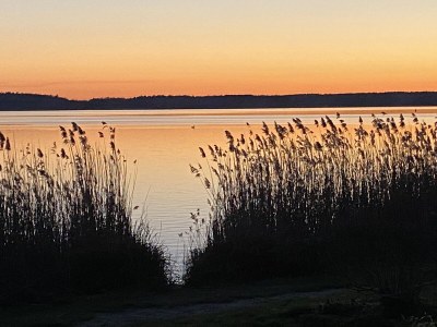 Holiday apartment Residenz am Seeufer - Environment photo 23