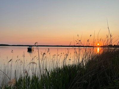 Holiday apartment Residenz am Seeufer - Environment photo 24