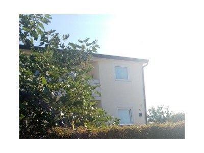 Apartment Ulika Buici - Outdoor photo 2