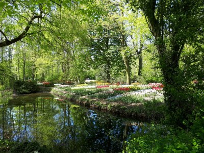 Holiday house Bohemien Resort 8 - Environment photo 15