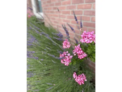 Holiday apartment Prinsepark - Features photo 22