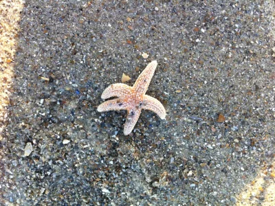 Holiday apartment Prinsepark - Environment photo 26