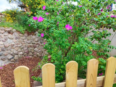 Holiday apartment Ferienwohnung Heide - Features photo 19