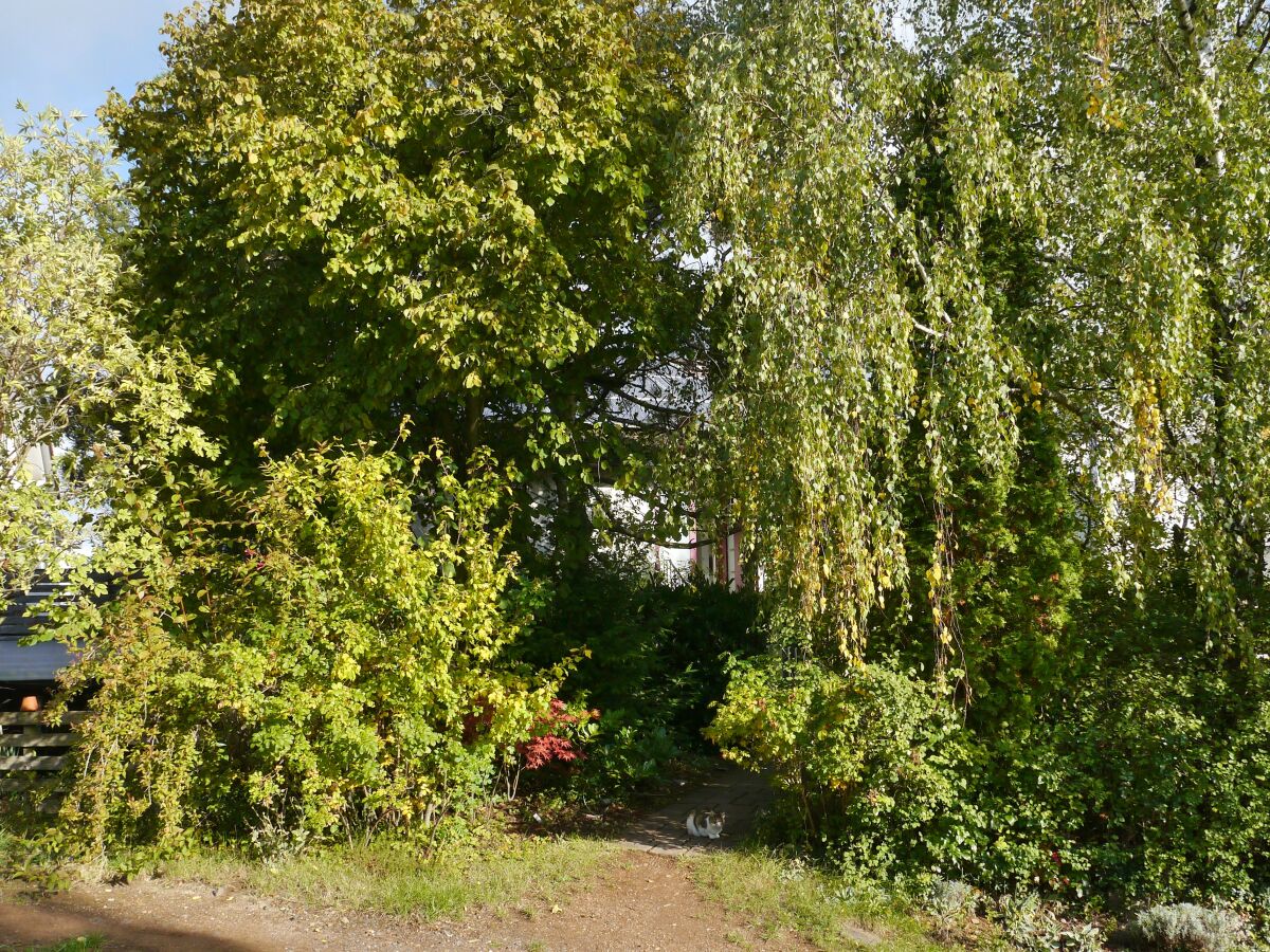 Holiday apartment Odins Ferienwohnung - Outdoor photo 2