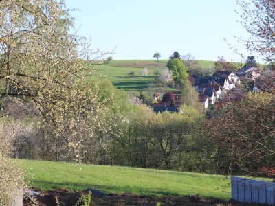 Holiday apartment Odins Ferienwohnung - Features photo 12