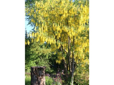 Holiday apartment Odins Ferienwohnung - Features photo 13