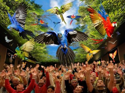 Villa Belvilla by OYO Villa in Adeje - Environment photo 30