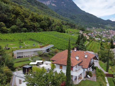 Holiday apartment La Vinea - Outdoor photo 3