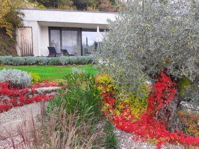 Holiday apartment La Vinea - Outdoor photo 10