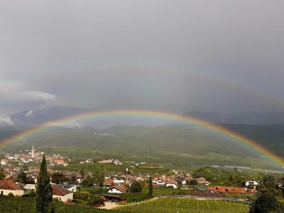 Holiday apartment La Vinea - Outdoor photo 14