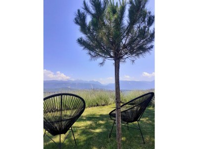 Holiday apartment La Vinea - Outdoor photo 15