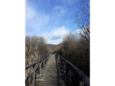 Holiday apartment La Vinea - Environment photo 29