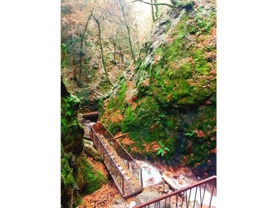 Holiday apartment La Vinea - Environment photo 32