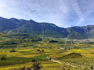 Holiday apartment La Vinea - Environment photo 34