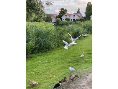 Holiday house Sunhouse Makkum Beach - Environment photo 31