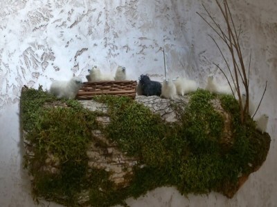 Holiday house Holiday Home Anka - Outdoor photo 29