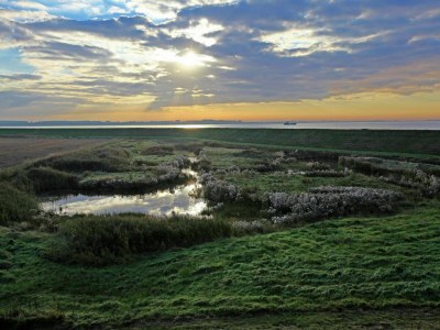 Holiday park Freistehendes Haus in Zeeland mit Aussicht - Environment photo 19