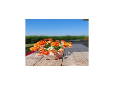 Holiday park Freistehendes Haus in Zeeland mit Aussicht - Outdoor photo 38