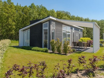 Holiday park Modern Chalet by Forest in Zeeland in Wemeldinge - Holiday park