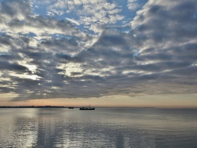 Holiday park Modern Chalet by Forest in Zeeland - Environment photo 32