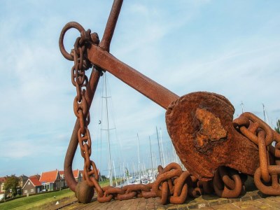 Holiday park Modern Chalet by Forest in Zeeland - Outdoor photo 36