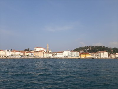 Holiday apartment Zavrtanik - Environment photo 20